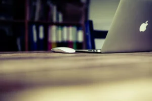 Success Tips on Micro Niche blogging (Image Credit: Puxabay)