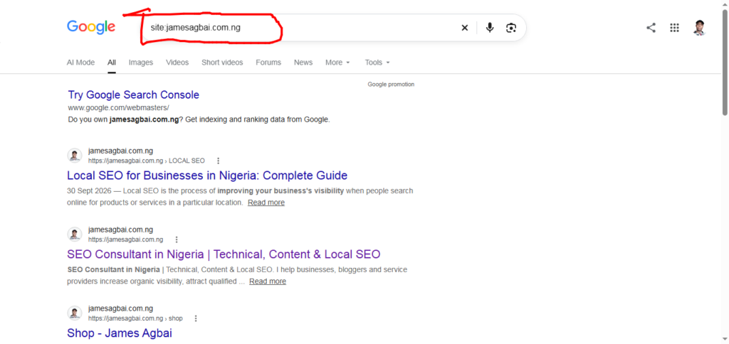 checking if Google has indexed